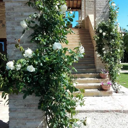 B&B Casa Laura-2